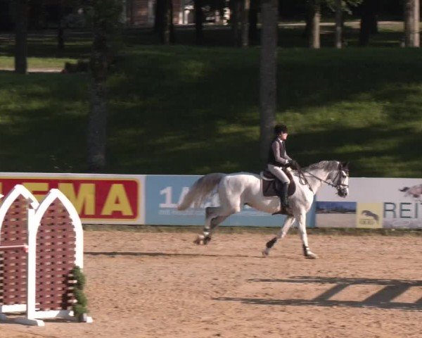 Reitturnier Stadl-Paura 2024