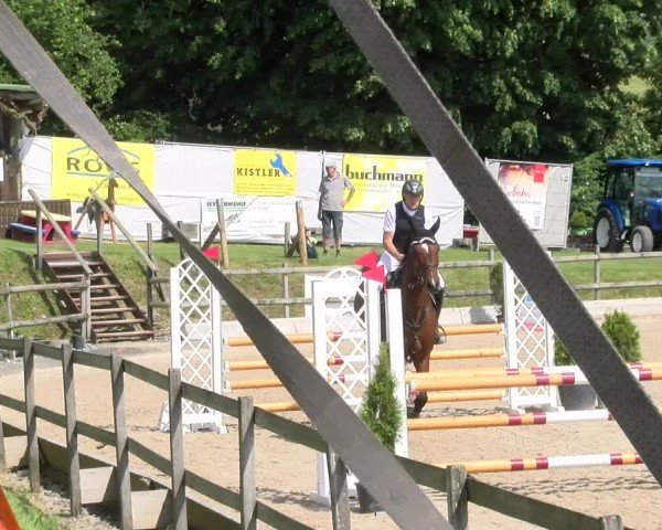 Reitturnier Ruswil 2024