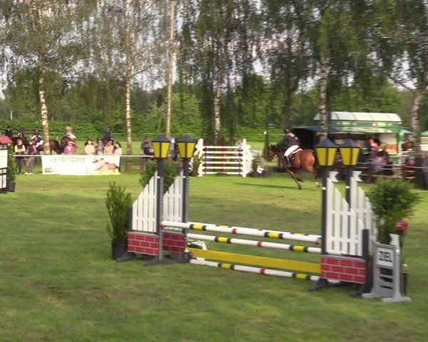 Reitturnier Hille 2024