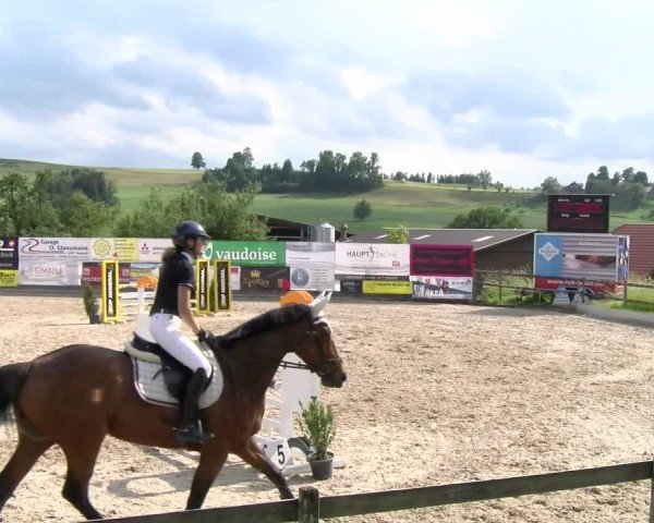 Reitturnier Ruswil 2024
