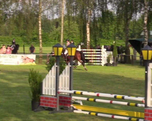 Reitturnier Hille 2024