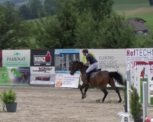 Reitturnier Ruswil 2024