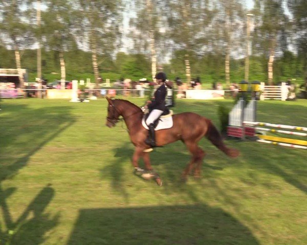 Reitturnier Hille 2024