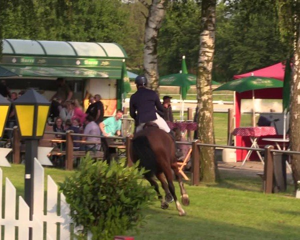 Reitturnier Hille 2024