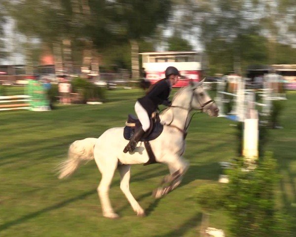 Reitturnier Hille 2024