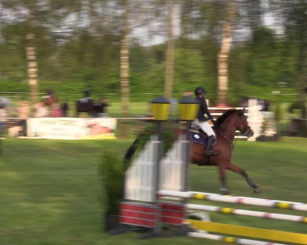 Reitturnier Hille 2024