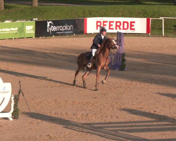 Reitturnier Stadl-Paura 2024