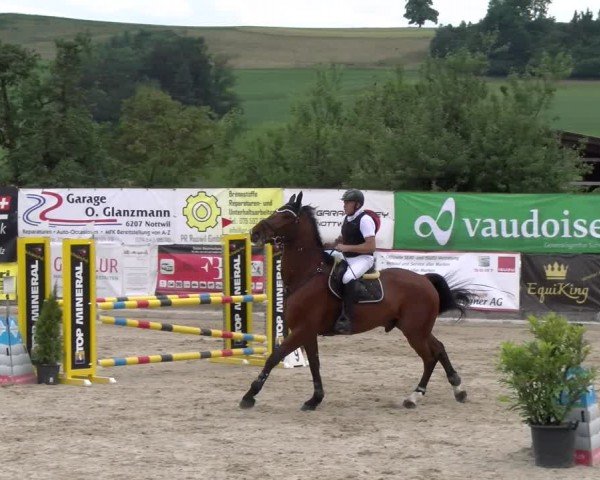 Reitturnier Ruswil 2024