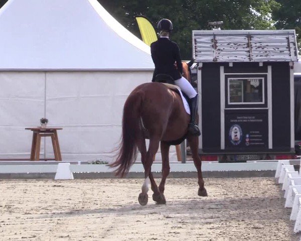 Reitturnier Sörup 2024
