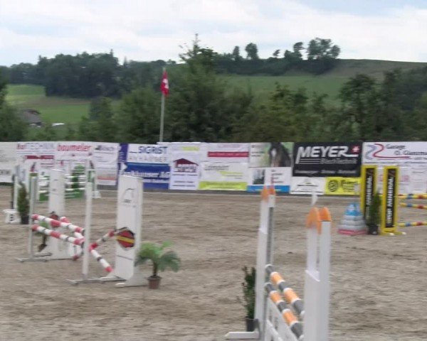 Reitturnier Ruswil 2024