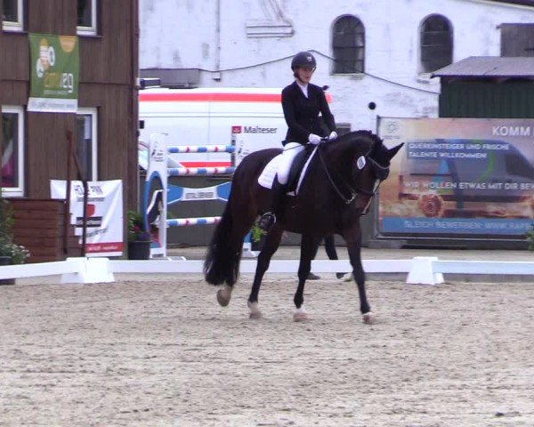 Reitturnier Sörup 2024