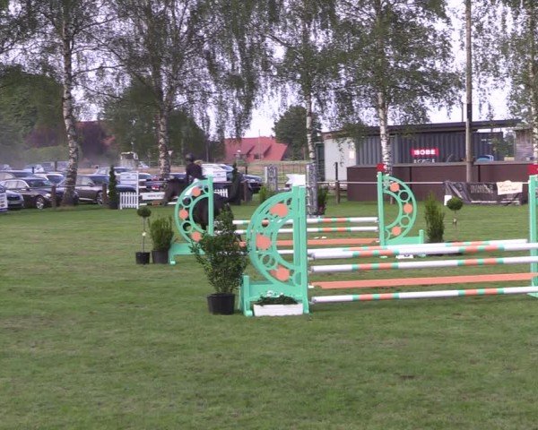 Reitturnier Hille 2024