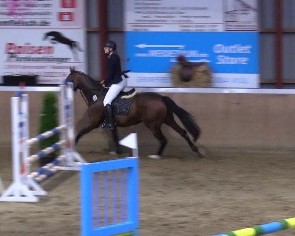 Reitturnier Behrendorf 2021