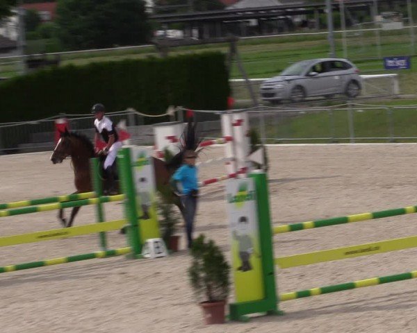 Reitturnier Fehraltorf 2024