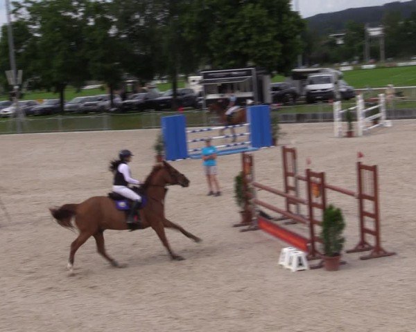 Reitturnier Fehraltorf 2024