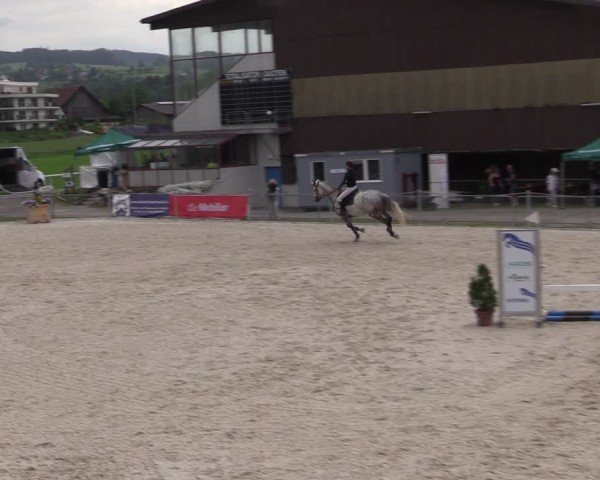 Reitturnier Fehraltorf 2024
