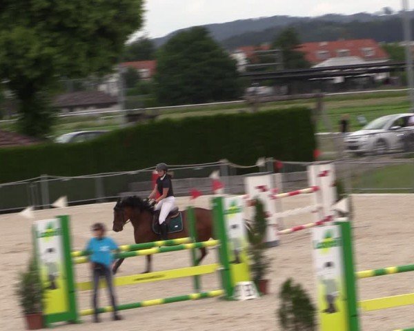 Reitturnier Fehraltorf 2024