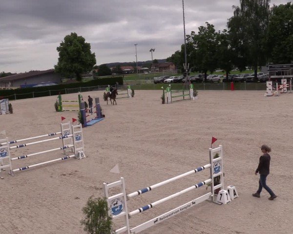 Reitturnier Fehraltorf 2024