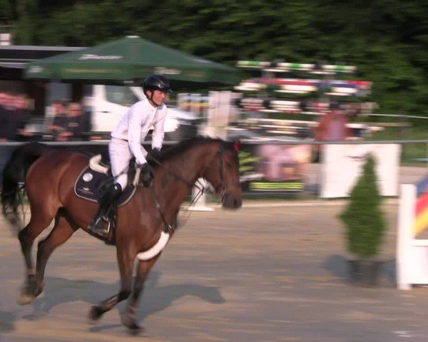 Reitturnier Oelde 2024