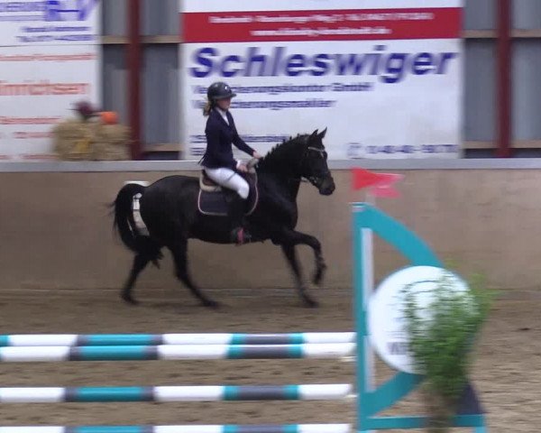 Reitturnier Behrendorf 2021