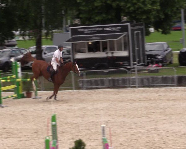 Reitturnier Fehraltorf 2024
