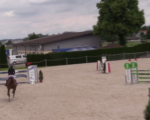 Reitturnier Fehraltorf 2024
