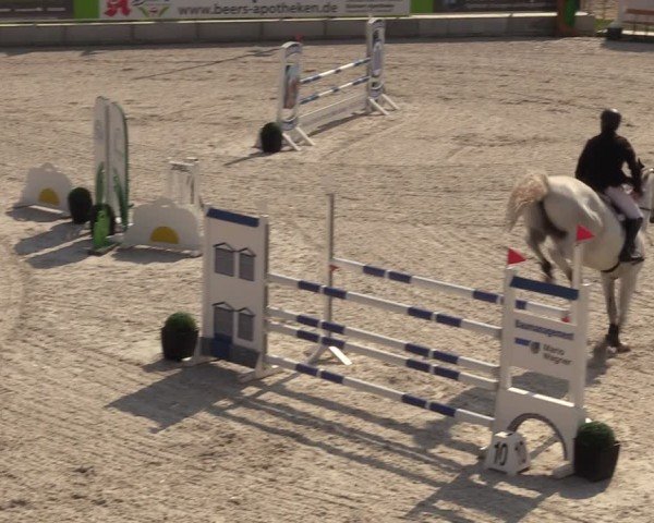 Reitturnier Dorfchemnitz 2024