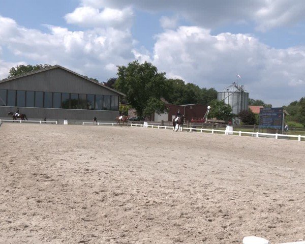 Reitturnier Brockhöfe 2024