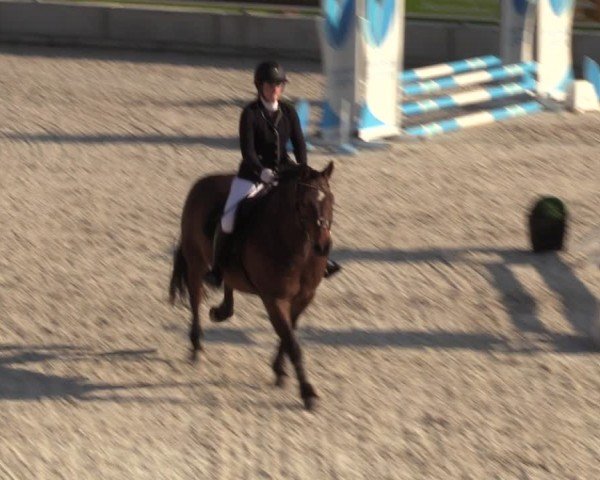 Reitturnier Dorfchemnitz 2024