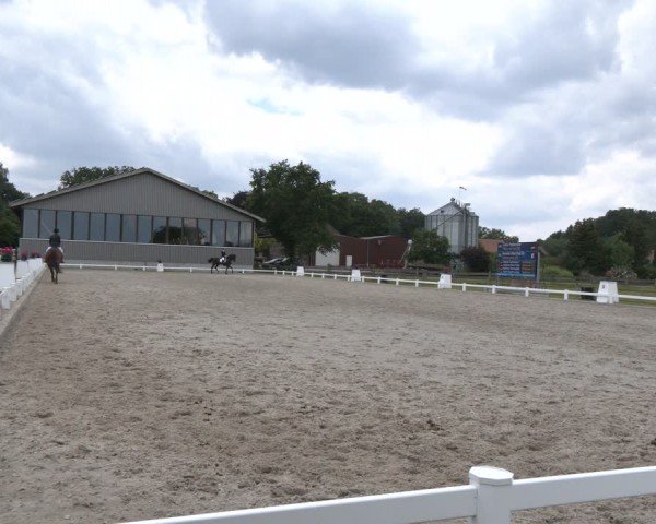 Reitturnier Brockhöfe 2024