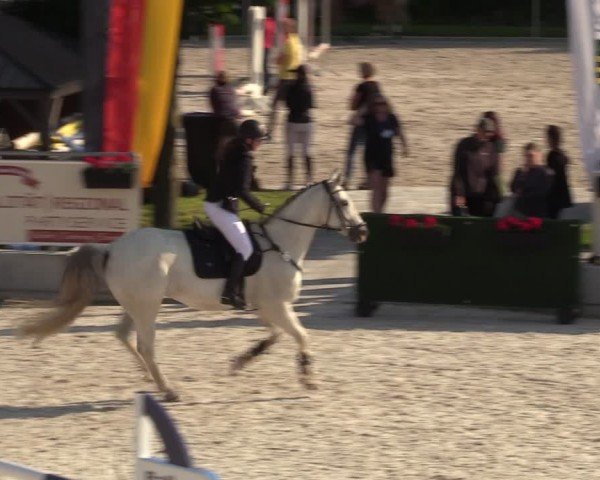 Reitturnier Dorfchemnitz 2024