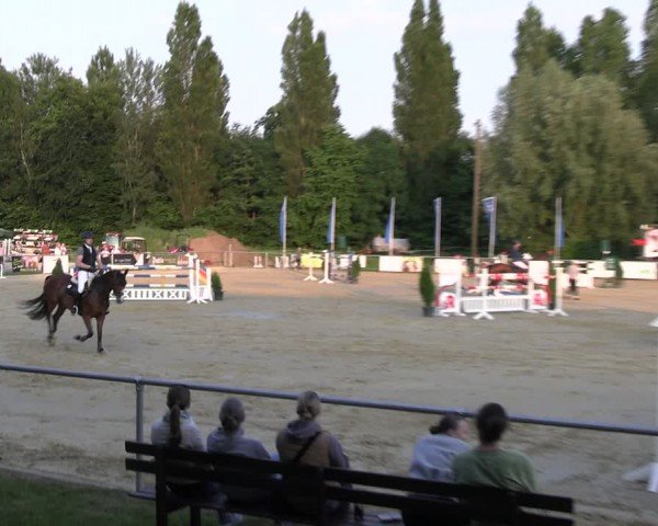 Reitturnier Oelde 2024