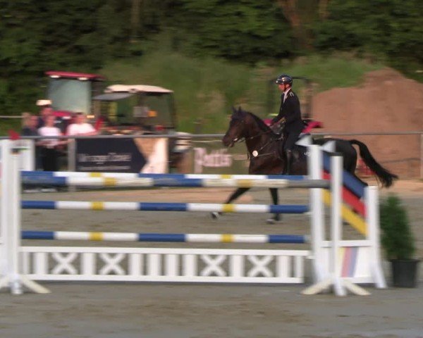 Reitturnier Oelde 2024
