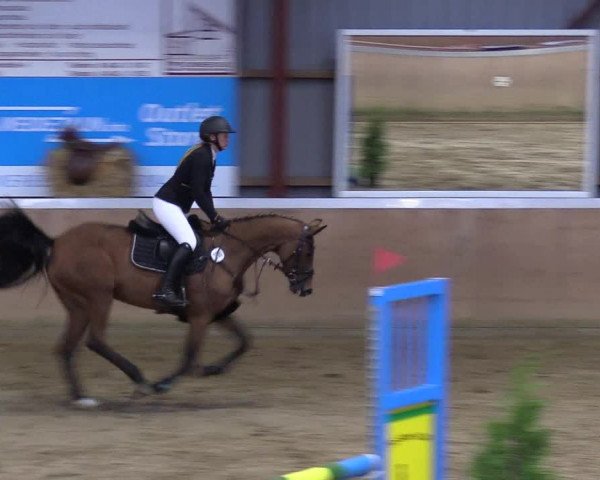 Reitturnier Behrendorf 2021