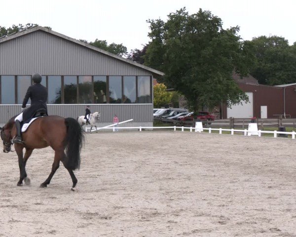 Reitturnier Brockhöfe 2024