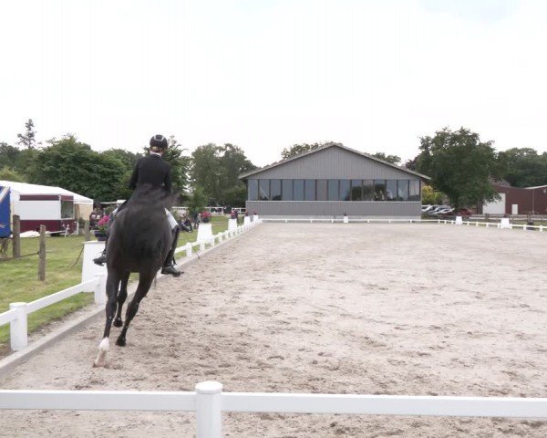 Reitturnier Brockhöfe 2024