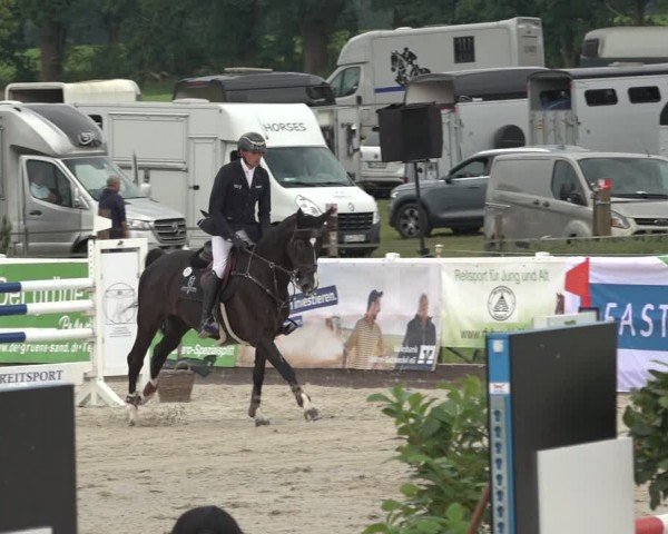 Reitturnier Brockhöfe 2024