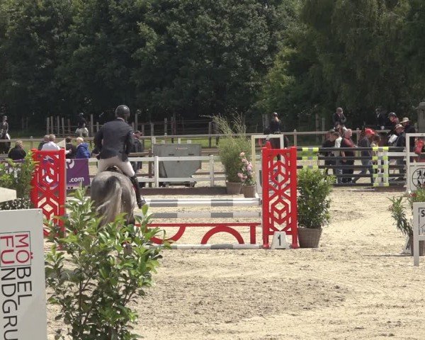 Reitturnier Brockhöfe 2024