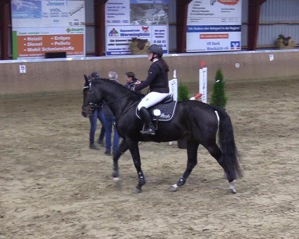 Reitturnier Behrendorf 2021