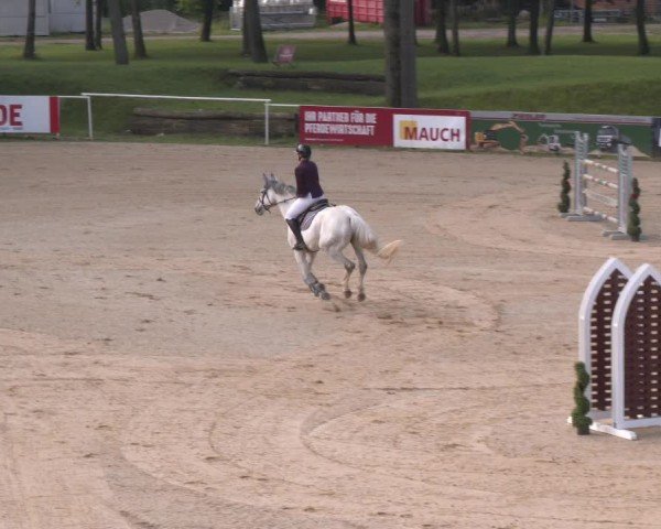 Reitturnier Stadl-Paura 2024