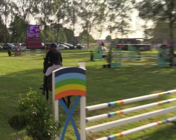 Reitturnier Hille 2024