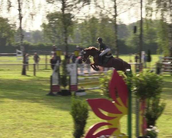 Reitturnier Hille 2024