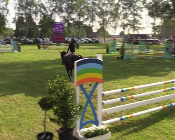 Reitturnier Hille 2024