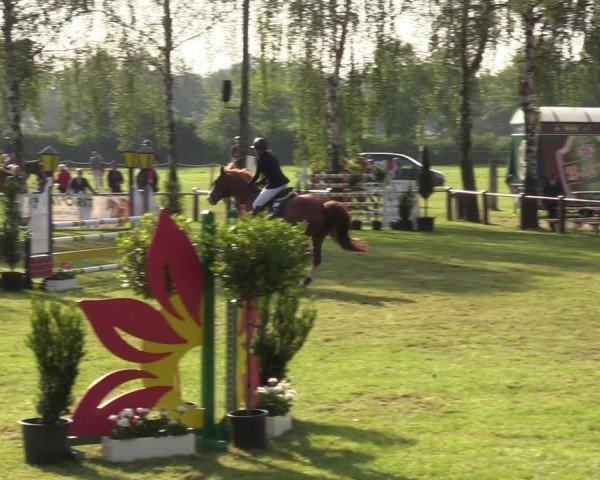 Reitturnier Hille 2024