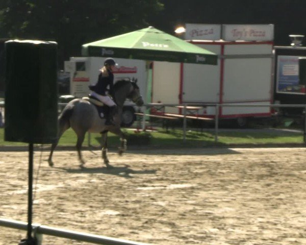 Reitturnier Oelde 2024