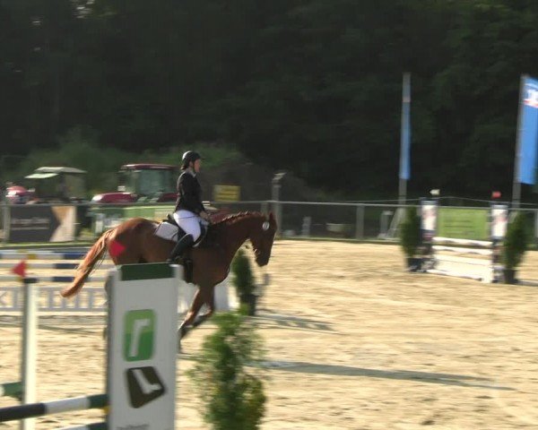 Reitturnier Oelde 2024