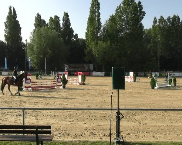 Reitturnier Oelde 2024