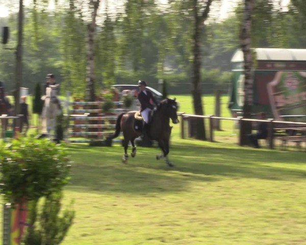 Reitturnier Hille 2024