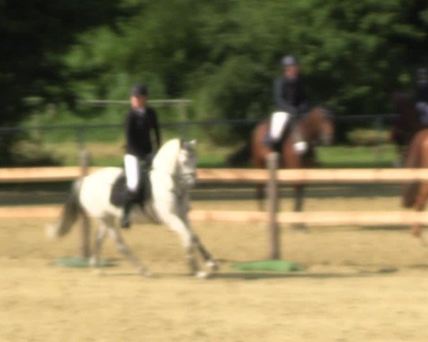 Reitturnier Oelde 2024