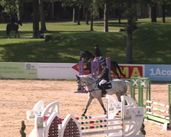 Reitturnier Stadl-Paura 2024